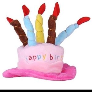Plush Birthday Hat, Child/Pet Toggle Closure. New!